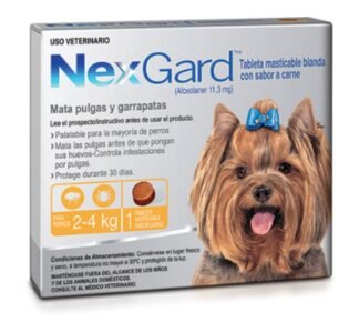 Nexgard S - De 2 A 4 Kg -