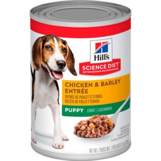 Hills Science Diet Puppy Chicken y Barley Entr  e