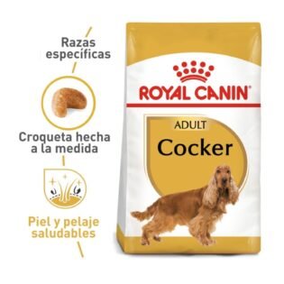Royal Canin Breed Health Nutrition Cocker Alimento Seco Perro