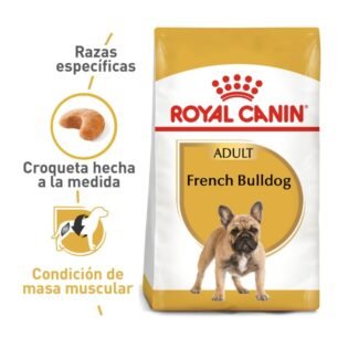 Royal Canin Bulldog Frances Adulto