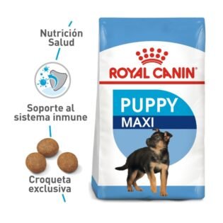 Royal Canin Shn Maxi Puppy