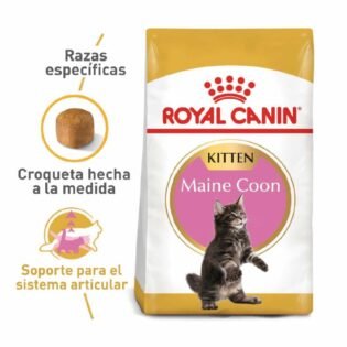 Alimento Gatito FBN Maine Coon Kitten