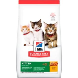 Hills Science Diet Kitten