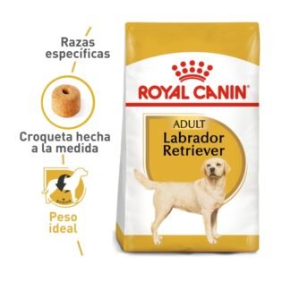 Royal Canin Labrador