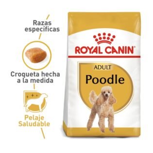 Royal Canin Bhn Poodle