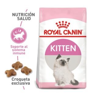 Royal Canin para Gatos Fhn Kitten