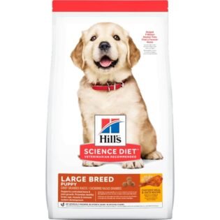 Hills Science Diet Puppy Large Breed Dog