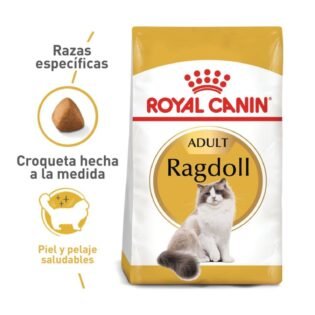 Royal Canin para Gatos Fbn Ragdoll