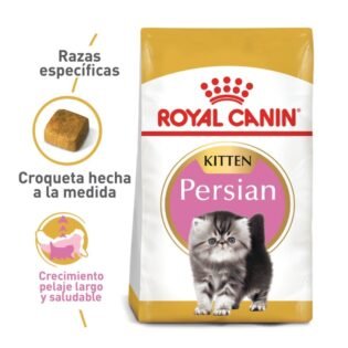 Royal Canin para Gatos Persian Kitten