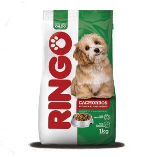 Ringo Cachorro