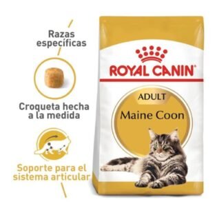 Royal Canin Feline Breed Nutrition Maine Coon